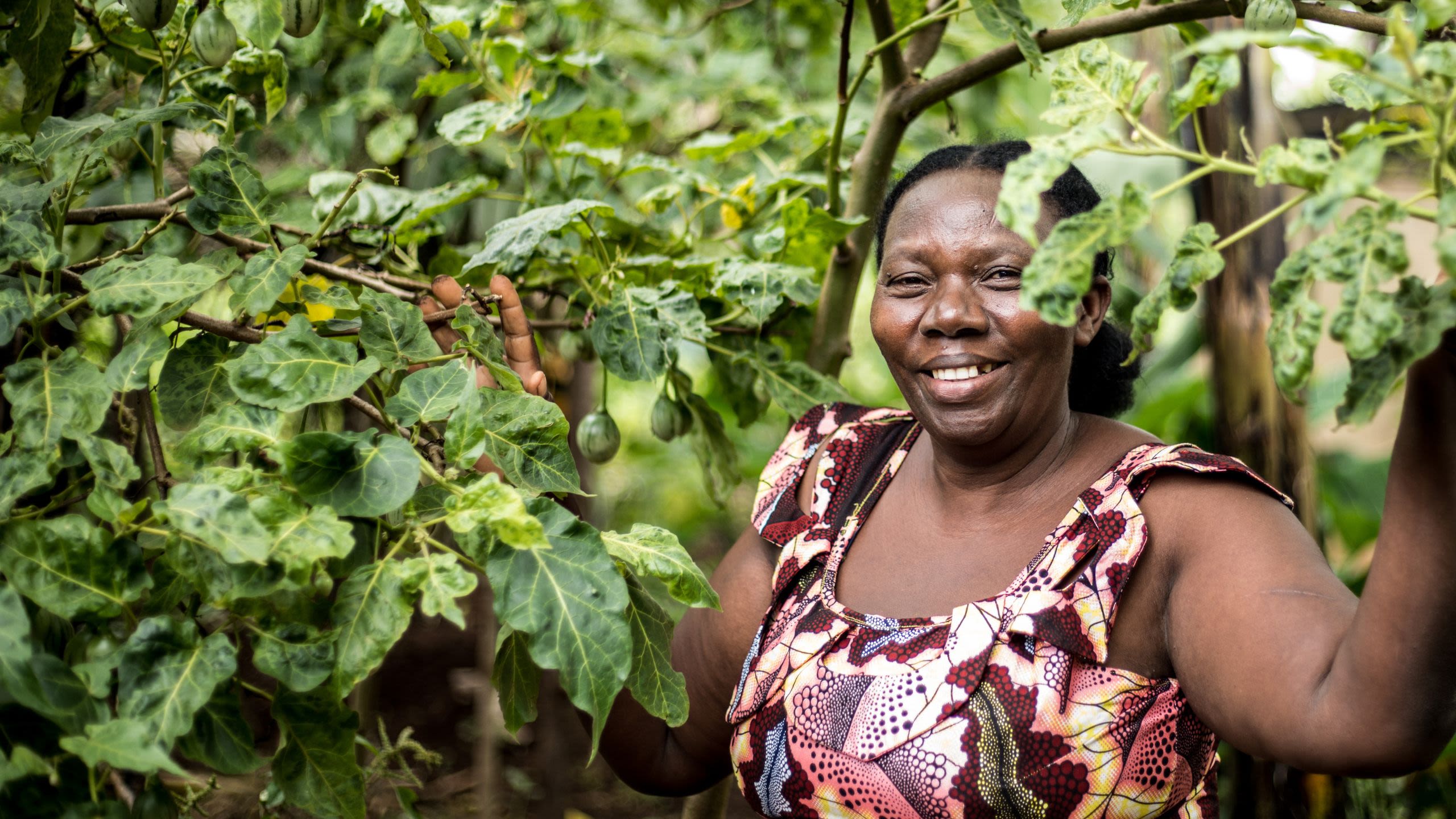 A woman in a patterned dress stands among green leafy plants.