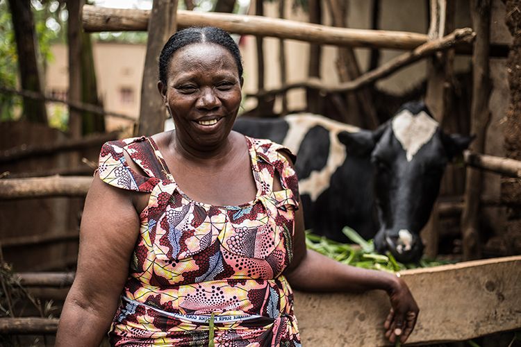 A woman looks on as her cow eats fresh grass in Rwanda.