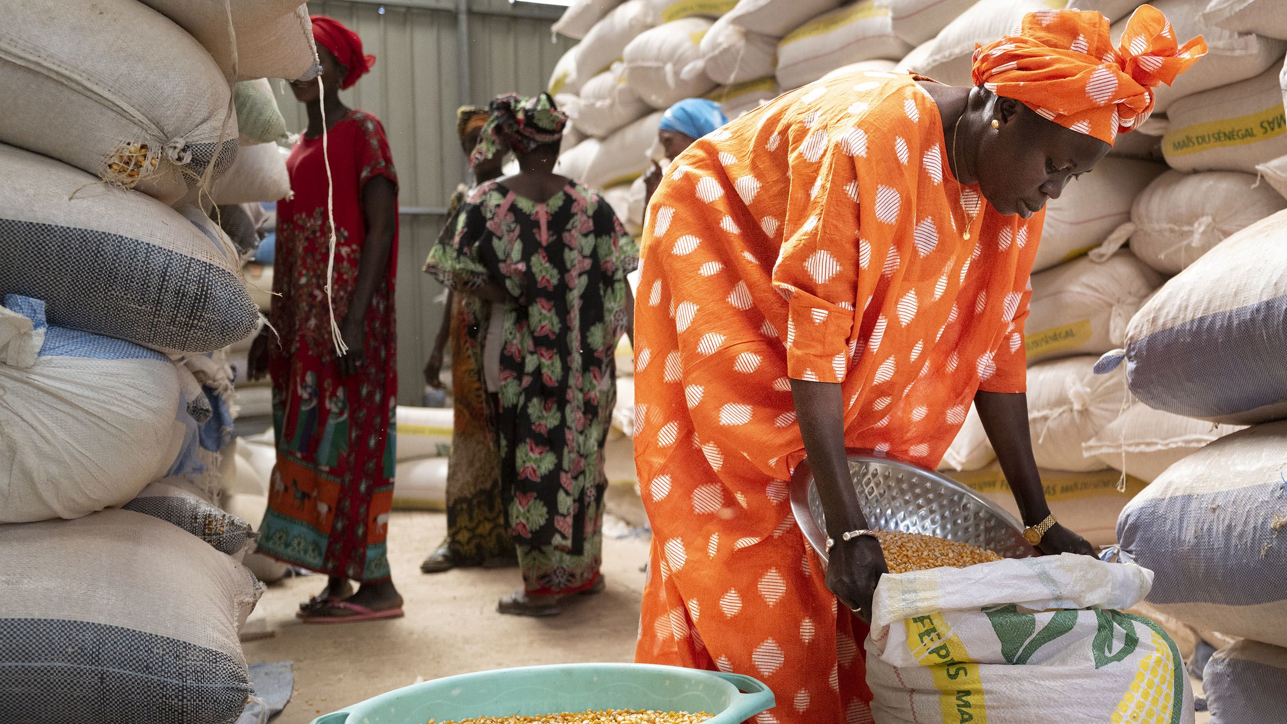 A woman pouring corn into a white bag.