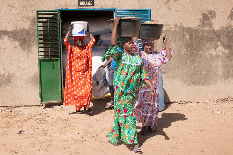 Three women carrying buckets of peanuts on their heads.